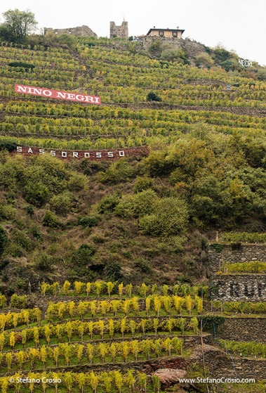  Valtellina mountain vineyards